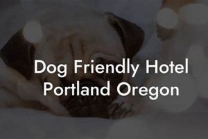 Top Dog-Friendly Hotels in Portland, OR: Your Guide Living in Oregon: Moving Tips, Cost of Living & Best Cities Top Dog-Friendly Hotels in Portland, OR: Your Guide | Living in Oregon: Moving Tips, Cost of Living & Best Cities