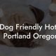 Top Dog-Friendly Hotels in Portland, OR: Your Guide | Living in Oregon: Moving Tips, Cost of Living & Best Cities
