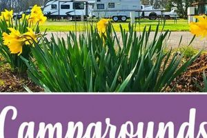 Eugene, OR: Best Camping Spots Near You | [Year] | Living in Oregon: Moving Tips, Cost of Living & Best Cities