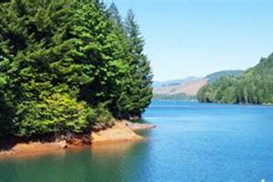 Oregon Camping: Sweet Home's Best Spots & Tips! Living in Oregon: Moving Tips, Cost of Living & Best Cities Oregon Camping: Sweet Home's Best Spots & Tips! | Living in Oregon: Moving Tips, Cost of Living & Best Cities