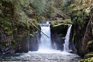 Explore Parks in Forest Grove, Oregon: Your Green Oasis! Living in Oregon: Moving Tips, Cost of Living & Best Cities Explore Parks in Forest Grove, Oregon: Your Green Oasis! | Living in Oregon: Moving Tips, Cost of Living & Best Cities