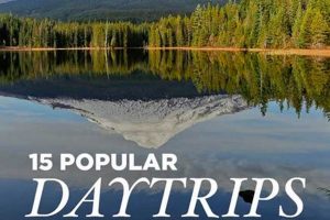 Best Day Trips From Portland, Oregon: Getaways! Living in Oregon: Moving Tips, Cost of Living & Best Cities Best Day Trips From Portland, Oregon: Getaways! | Living in Oregon: Moving Tips, Cost of Living & Best Cities