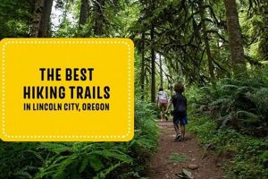 Best Lincoln City Oregon Hikes: Trails &amp; Views! | Living in Oregon: Moving Tips, Cost of Living & Best Cities