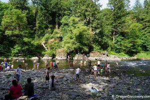 Visit Feyrer Park Oregon: A Local Gem & More! | Living in Oregon: Moving Tips, Cost of Living & Best Cities