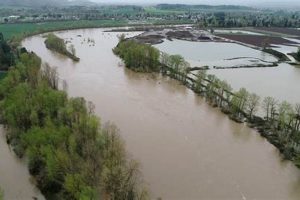 Willamette River Level Salem Oregon | Living in Oregon: Moving Tips, Cost of Living & Best Cities