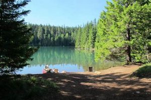 Your Guide: Timothy Lake Oregon Camping + Best Spots! | Living in Oregon: Moving Tips, Cost of Living & Best Cities