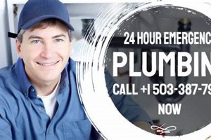 24/7 Quick Emergency Plumber Portland, OR Services | Living in Oregon: Moving Tips, Cost of Living & Best Cities