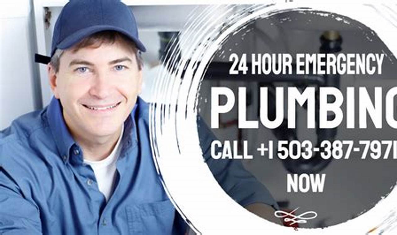 24/7 Quick Emergency Plumber Portland, OR Services | Living in Oregon: Moving Tips, Cost of Living & Best Cities