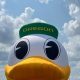 Go Ducks! Oregon Ducks Inflatable Duck for True Fans | Living in Oregon: Moving Tips, Cost of Living & Best Cities