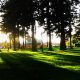 Visit Alberta Park Portland Oregon: A NE Gem! | Living in Oregon: Moving Tips, Cost of Living & Best Cities