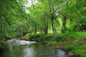 Explore McMinnville Oregon Parks: Nature & Fun! | Living in Oregon: Moving Tips, Cost of Living & Best Cities