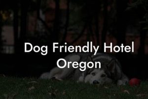 Find: Dog Friendly Hotels Oregon & More! Living in Oregon: Moving Tips, Cost of Living & Best Cities Find: Dog Friendly Hotels Oregon & More! | Living in Oregon: Moving Tips, Cost of Living & Best Cities