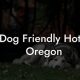 Find: Dog Friendly Hotels Oregon &amp; More! | Living in Oregon: Moving Tips, Cost of Living & Best Cities