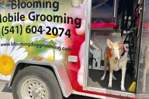 Dog Grooming Bend Oregon | Living in Oregon: Moving Tips, Cost of Living & Best Cities