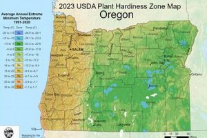 Portland's Zone: What USDA Zone is Portland, Oregon? Living in Oregon: Moving Tips, Cost of Living & Best Cities Portland's Zone: What USDA Zone is Portland, Oregon? | Living in Oregon: Moving Tips, Cost of Living & Best Cities