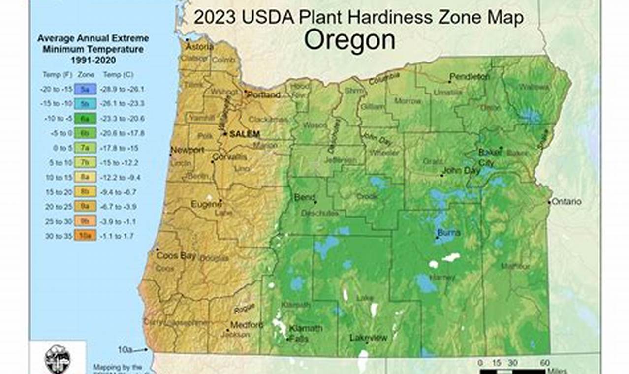 Portland's Zone: What USDA Zone is Portland, Oregon? Living in Oregon: Moving Tips, Cost of Living & Best Cities Portland's Zone: What USDA Zone is Portland, Oregon? | Living in Oregon: Moving Tips, Cost of Living & Best Cities