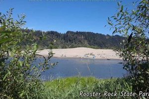 Rooster Portland Oregon Living in Oregon: Moving Tips, Cost of Living & Best Cities Rooster Portland Oregon | Living in Oregon: Moving Tips, Cost of Living & Best Cities