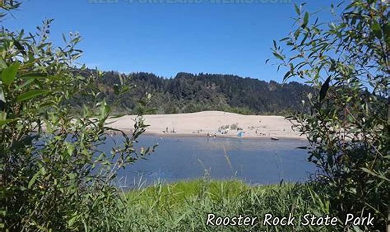 Rooster Portland Oregon Living in Oregon: Moving Tips, Cost of Living & Best Cities Rooster Portland Oregon | Living in Oregon: Moving Tips, Cost of Living & Best Cities