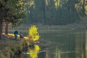Explore Walton Lake Oregon: Camping & Fishing! Living in Oregon: Moving Tips, Cost of Living & Best Cities Explore Walton Lake Oregon: Camping & Fishing! | Living in Oregon: Moving Tips, Cost of Living & Best Cities