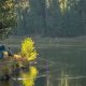 Explore Walton Lake Oregon: Camping & Fishing! | Living in Oregon: Moving Tips, Cost of Living & Best Cities