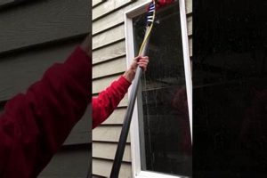 Pristine Panes: Top Window Washing Eugene Oregon Services Living in Oregon: Moving Tips, Cost of Living & Best Cities Pristine Panes: Top Window Washing Eugene Oregon Services | Living in Oregon: Moving Tips, Cost of Living & Best Cities