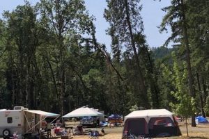 Whistler's Bend Campground Oregon | Living in Oregon: Moving Tips, Cost of Living & Best Cities
