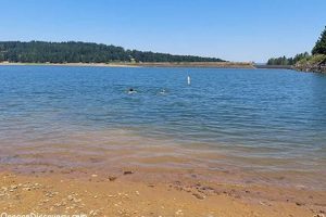 Explore: Cottage Grove Lake, Oregon - Fun &amp; Fishing! | Living in Oregon: Moving Tips, Cost of Living & Best Cities