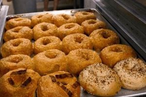 Best Bagels in Bend, Oregon: A Local's Guide | Living in Oregon: Moving Tips, Cost of Living & Best Cities