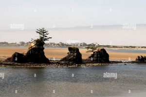 Unveiling Lincoln City, Oregon at Low Tide: Beaches & More! | Living in Oregon: Moving Tips, Cost of Living & Best Cities