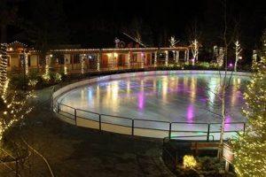 Ice Skating Salem Oregon Living in Oregon: Moving Tips, Cost of Living & Best Cities Ice Skating Salem Oregon | Living in Oregon: Moving Tips, Cost of Living & Best Cities