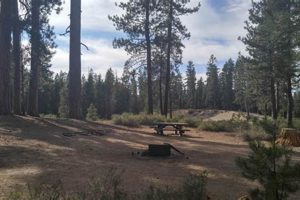 Your Bull Bend Campground Oregon Adventure Awaits! | Living in Oregon: Moving Tips, Cost of Living & Best Cities