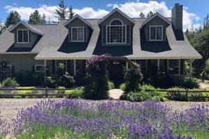 Discover Mosier Oregon Homes for Sale Today! Living in Oregon: Moving Tips, Cost of Living & Best Cities Discover Mosier Oregon Homes for Sale Today! | Living in Oregon: Moving Tips, Cost of Living & Best Cities