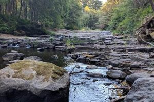 Discover Laverne Park, Oregon: A Natural Escape Living in Oregon: Moving Tips, Cost of Living & Best Cities Discover Laverne Park, Oregon: A Natural Escape | Living in Oregon: Moving Tips, Cost of Living & Best Cities