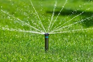 Sprinkler Maintenance Salem Oregon | Living in Oregon: Moving Tips, Cost of Living & Best Cities