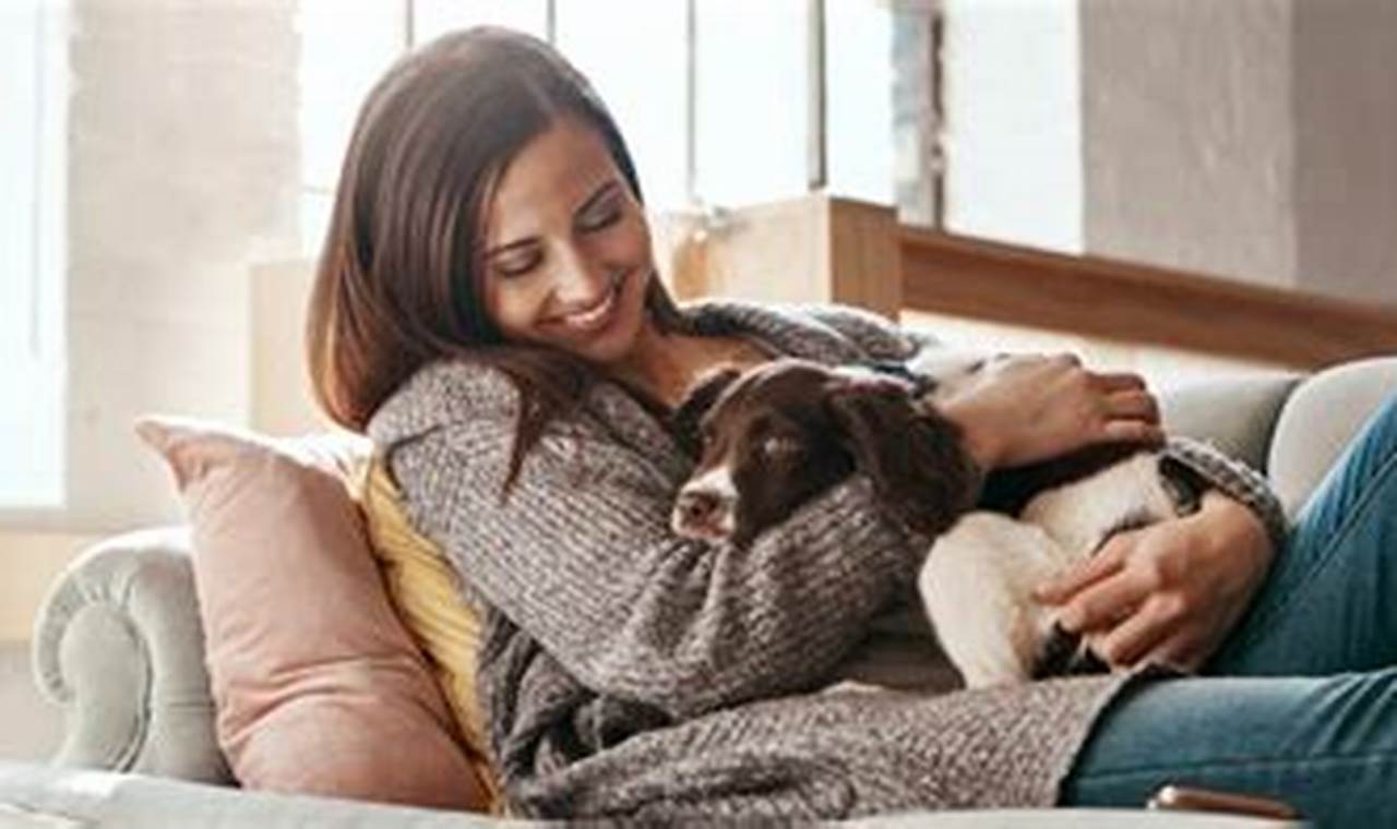 Dog Sitters Portland Oregon Living in Oregon: Moving Tips, Cost of Living & Best Cities Dog Sitters Portland Oregon | Living in Oregon: Moving Tips, Cost of Living & Best Cities