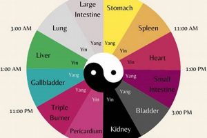 Chinese Medicine In Portland Oregon | Living in Oregon: Moving Tips, Cost of Living & Best Cities