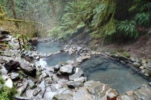 Soaking Near Eugene: Hot Springs in Oregon's Willamette Valley | Living in Oregon: Moving Tips, Cost of Living & Best Cities