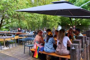 Dog Friendly Bars Portland Oregon | Living in Oregon: Moving Tips, Cost of Living & Best Cities