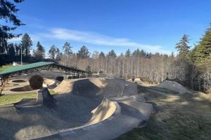 Skate Lincoln City Oregon: Your Coastal Skatepark! | Living in Oregon: Moving Tips, Cost of Living & Best Cities