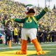 Ducks &amp; Permits: Oregon Duck Hunting License Requirement Info | Living in Oregon: Moving Tips, Cost of Living & Best Cities
