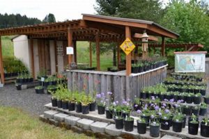 Your Oregon City Plant Nursery: Quality Starts Here! | Living in Oregon: Moving Tips, Cost of Living & Best Cities