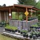 Your Oregon City Plant Nursery: Quality Starts Here! | Living in Oregon: Moving Tips, Cost of Living & Best Cities