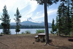 Camp by Big Lake Campground Oregon: Your Guide & Tips | Living in Oregon: Moving Tips, Cost of Living & Best Cities
