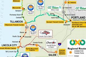 Driving Lincoln City to Tillamook, OR: Tips &amp; Sights | Living in Oregon: Moving Tips, Cost of Living & Best Cities