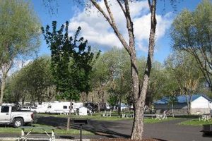 Your Guide to Crook County RV Parks in Prineville, Oregon Living in Oregon: Moving Tips, Cost of Living & Best Cities Your Guide to Crook County RV Parks in Prineville, Oregon | Living in Oregon: Moving Tips, Cost of Living & Best Cities