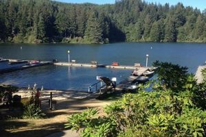 Escape to Mercer Lake Resort Oregon: Your Lakeside Haven | Living in Oregon: Moving Tips, Cost of Living & Best Cities
