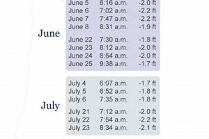 Lincoln City Tides: Oregon Schedule + Times | Living in Oregon: Moving Tips, Cost of Living & Best Cities
