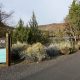 Discover Pelton Park, Oregon: Your Adventure Awaits! | Living in Oregon: Moving Tips, Cost of Living & Best Cities