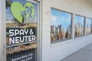 Low-Cost Spay Neuter Clinic Eugene, OR: [Safe & Affordable] | Living in Oregon: Moving Tips, Cost of Living & Best Cities