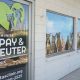 Low-Cost Spay Neuter Clinic Eugene, OR: [Safe & Affordable] | Living in Oregon: Moving Tips, Cost of Living & Best Cities